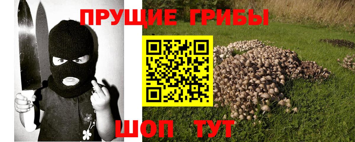 Галлюциногенные грибы Magic Shrooms  Вход с VPN  Сунжа 